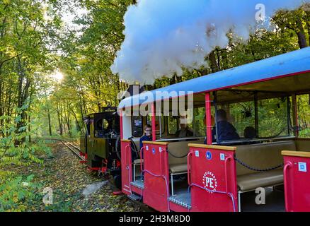 Cottbus, Germania. 29 ottobre 2021. La locomotiva a vapore 'Graf Arnim' del parco ferroviario Cottbus con un calibro di 600 millimetri attraversa il paesaggio autunnale vicino al parco Fürst Pückler a Branitz. Lo stesso giorno, la locomotiva a vapore del 1895 torna ufficialmente sulla pista a scartamento ridotto lunga 3.2 chilometri per la prima volta dopo il suo restauro. La ferrovia del parco di Cottbus è stata fondata nel 1954. Credit: Patrick Pleul/dpa-Zentralbild/ZB/dpa/Alamy Live News Foto Stock