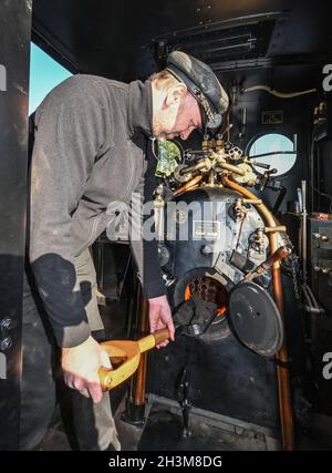 Cottbus, Germania. 29 ottobre 2021. Christian Menzel, motorista della ferrovia del parco di Cottbus, lancia i carboni nella camera di combustione della locomotiva a vapore 'Graf Arnim' con una larghezza della carreggiata di 600 millimetri. Lo stesso giorno, la locomotiva a vapore del 1895 torna ufficialmente sulla pista a scartamento ridotto lunga 3.2 chilometri per la prima volta dopo il suo restauro. La ferrovia del parco di Cottbus è stata fondata nel 1954. Credit: Patrick Pleul/dpa-Zentralbild/ZB/dpa/Alamy Live News Foto Stock