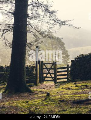 Porta che porta a Ogden Woods a Sabden, Lancashire mentre salite a Pendle Hill. Foto Stock