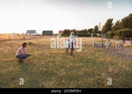 Donna accovacciata mentre guarda la madre e il figlio con le pecore sul campo Foto Stock