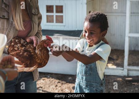 Ragazzo felice che alimenta la gallina in fattoria Foto Stock