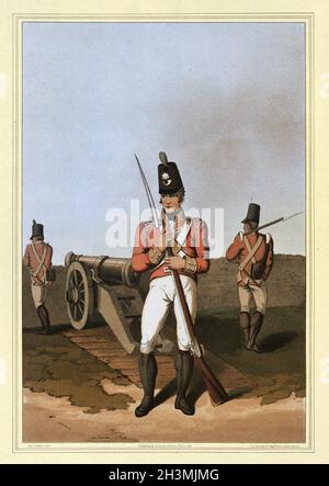 Solider della milizia di East York, reggimento di fanteria leggera, esercito britannico, uniformi militari. Il Costume dello Yorkshire di George Walker, inizio 19 ° secolo Foto Stock