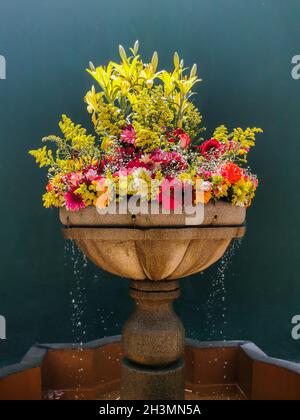 Incredibile bouquet colorato di fiori in un cortile a Antigua, Guatemala Foto Stock