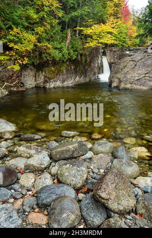 Rocky Falls e Indian Pass Brook in autunno, Essex County, Adirondack Park, New York Foto Stock