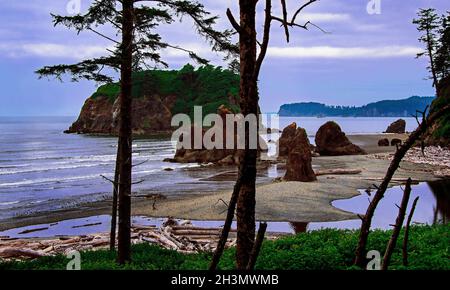 Ruby Beach con Sea Stack in primo piano e Abbey Island alle spalle, Olympic National Park, Washington Foto Stock
