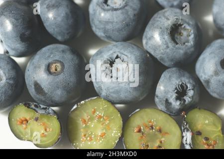 Corimboso di Vaccinium, mirtillo highbush settentrionale Foto Stock