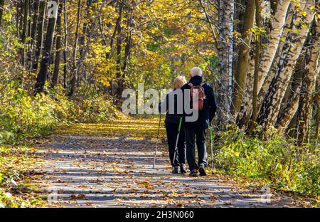 Una coppia anziana con bastoni da trekking cammina su un sentiero nel paesaggio autunnale Foto Stock