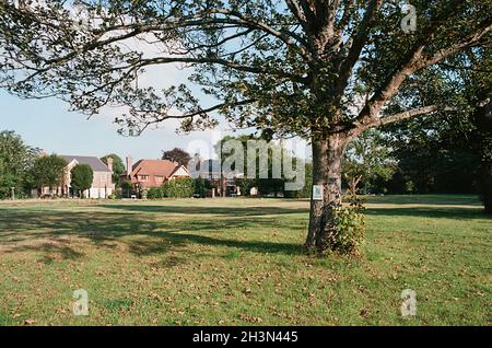 Chislehurst comune in autunno, nel Borough di Bromley, Grande Londra, Regno Unito Foto Stock