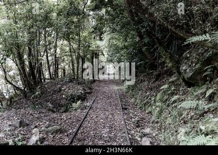 Ferrovia abbandonata lungo l'affascinante Creek Walkway nella Gola di Ngakawau, Costa Occidentale, Nuova Zelanda. Foto Stock