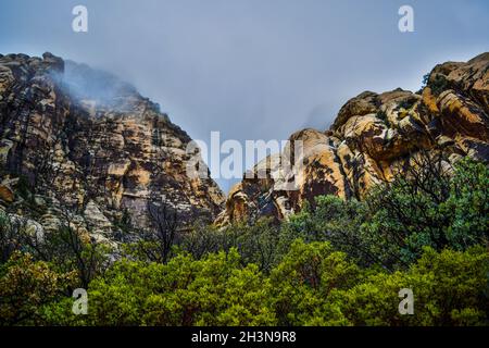 Ipnotizzante vista di alte formazioni rocciose sulla fitta foresta verde in una giornata di nebbia Foto Stock