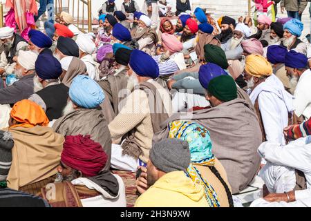 AMRITSAR, INDIA - 26 GENNAIO 2017: Devoti di Sikh nel Tempio d'oro Harmandir Sahib ad Amritsar, Punjab, India Foto Stock