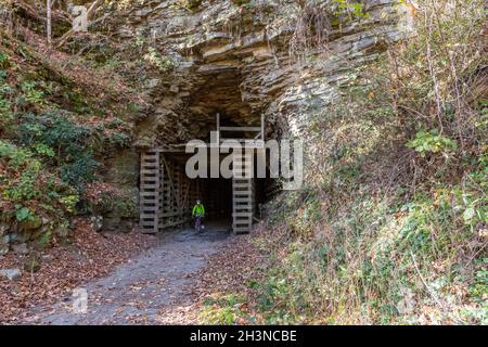Martinton, West Virginia - John West, 75, esce dal tunnel della montagna di Droop sul Greenbrier River Trail. Il percorso ferroviario di 78 km corre lungo la Foto Stock
