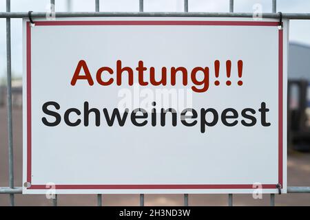 Segno con l'iscrizione Achtung Afrikanische Schweinepest (attenzione peste suina africana) Foto Stock