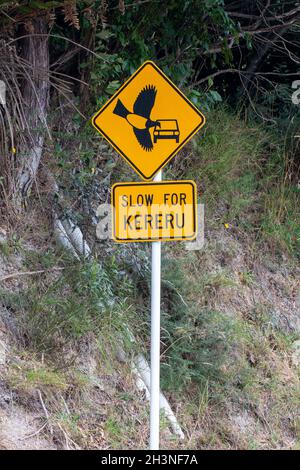 Un lento per kereru segno a Otari Wiltons Bush a Wellington, Nuova Zelanda Foto Stock