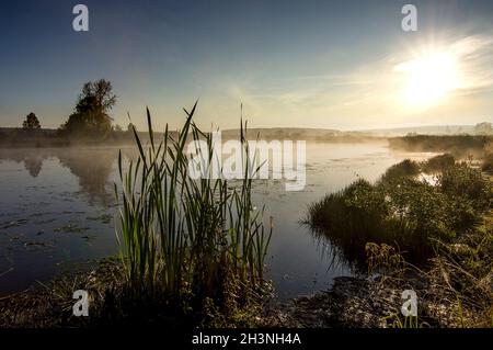 Lago al tramonto, erba costiera e alberi. Luce del tramonto sopra l'acqua. Foto Stock