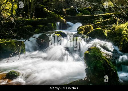 Il fiume di montagna scorre sulle rocce. I fiumi sono altai. La natura è altai. Foto Stock