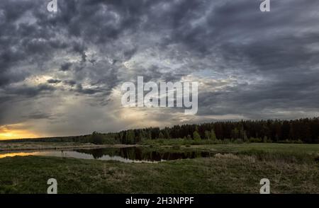 Lago al tramonto, erba costiera e alberi. Luce del tramonto sopra l'acqua. Foto Stock