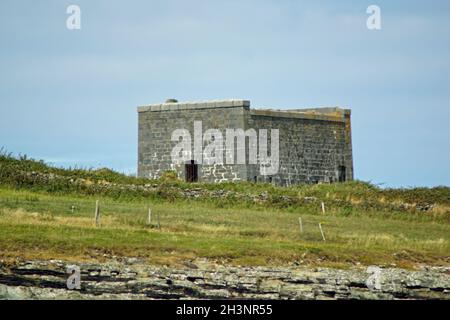 Tour dei Delfini del Castello di Carrigaholt MacMahon Foto Stock