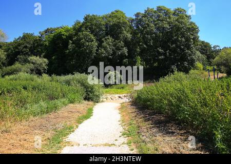 Tra Immendingen e MÃ¶hringen e vicino Fridingen, l'acqua del Danubio saltuariamente perisce awa Foto Stock