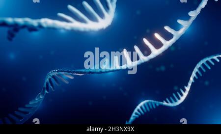 Molecola di RNA, illustrazione Foto Stock