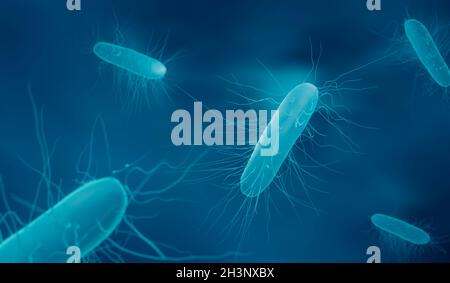Batteri Clostridium difficile, illustrazione Foto Stock