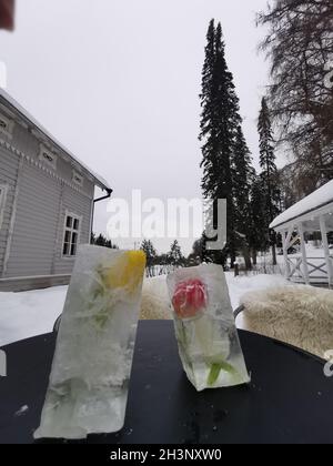 Rose rosse e gialle ricoperte di ghiaccio su un tavolo nero. Sfondo bianco innevato in Finlandia. Simbolo di persona senza speranza e intrappolata. Foto Stock