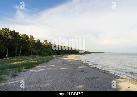Spiaggia di sabbia nel sud della Svezia vicino Trelleborg. Bella natura svedese e paesaggio al mare il giorno d'estate. Foto Stock