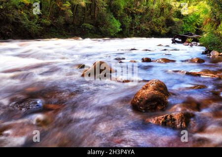 Rapide sul fiume Franklin nel parco nazionale dei fiumi selvaggi Franklin-Gordon della Tasmania, Australia. Foto Stock