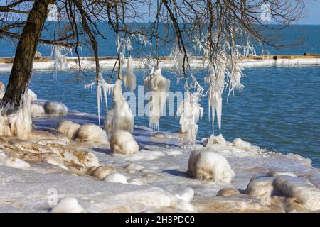 Ghiaccio su rami di alberi sulle rive del lago Michigan Foto Stock