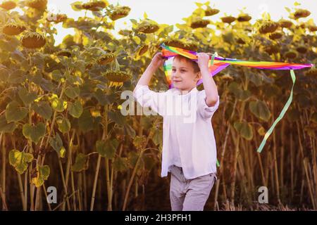 Un aquilone nelle mani di un ragazzo sullo sfondo dei girasoli. Foto Stock