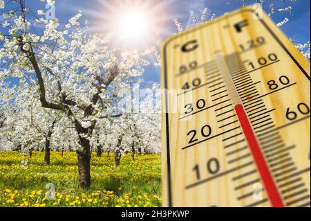 Temperatura calda sul termometro in primavera Foto Stock