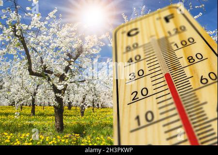 Warm temperature on thermometer at springtime Foto Stock
