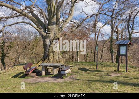 Lauenburg nei pressi di Stecklenberg Harz Foto Stock