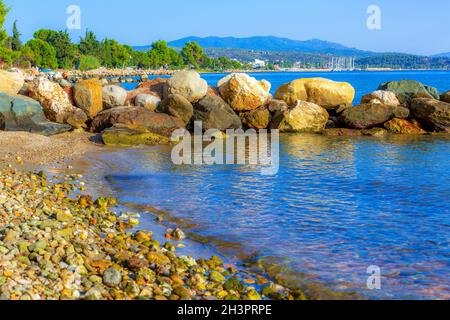 Pineta albero dal mare a Halkidiki, Grecia Foto Stock