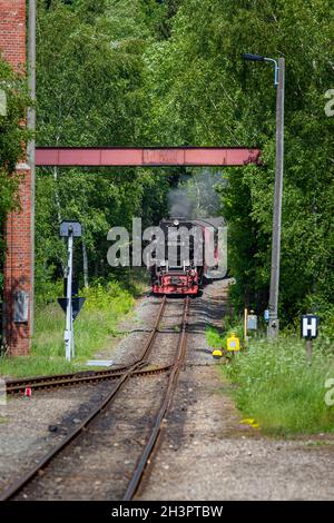 Selketalbahn nei pressi di SilberhÃ¼tte, sulle montagne di Harz Foto Stock