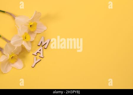 Vista dall'alto del mese di maggio in lettere di legno e fiori di daffodil. Mock-up piatto Foto Stock