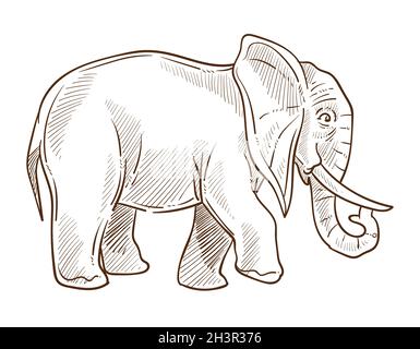 Elefante indiano o africano schizzo isolato, animale selvatico Illustrazione Vettoriale