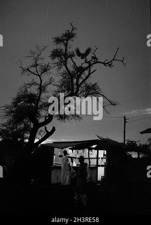 Africa, Sudan, wad Madani 1976. Un negozio che vende bevande analcoliche vicino al fiume al tramonto. Il Nilo Blu. Un'egretta nell'albero. Foto Stock