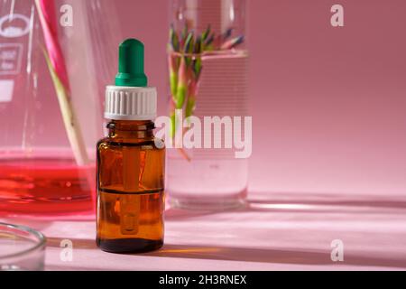 Concetto di medicina alternativa. Medicina omeopatica naturale di erbe Foto Stock