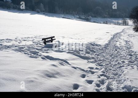 Bike Way R1, panca in inverno, Gewissensenruh, Wesertal, Weser Uplands, Weserbergland, Assia, Germania Foto Stock