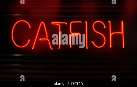 Fotografia composito Neon Seafood Restaurant segni Catfish Foto Stock