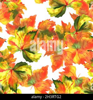 Un modello senza giunture di acquerelli di autunno vitigno foglie su sfondo bianco Foto Stock