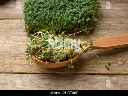 Germogli verdi di chia, rucola e senape su un tavolo da tavole di legno grigio Foto Stock