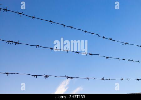 Recinzione filo spinato su sfondo cielo blu. Area pericolosa. Foto Stock