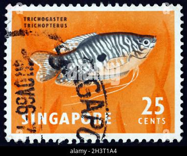 SINGAPORE - CIRCA 1962: Un francobollo stampato a Singapore mostra i tre punti gourami, tricogaster trichopterus, pesce malese, circa 1962 Foto Stock