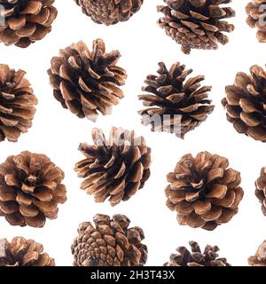 Pigne pattern senza giunture Foto Stock