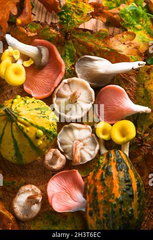 Selezione autunnale di funghi colorati e frutta sparata dall'alto in un ambiente boscoso con foglie autunnali e legno. Foto Stock