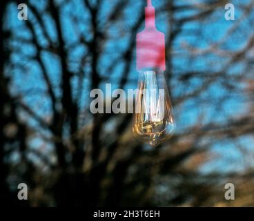 Immagine di sfondo delle ghirlande di illuminazione per esterni , messa a fuoco su lampadina classica con cablaggio. Spazio di copia. Foto Stock