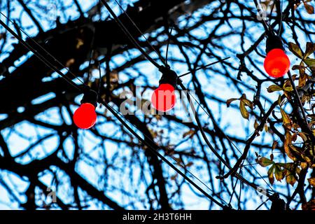 Immagine di sfondo delle ghirlande di illuminazione per esterni , messa a fuoco su lampadina classica con cablaggio. Spazio di copia. Foto Stock