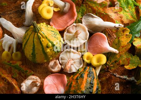 Selezione autunnale di funghi colorati e frutta sparata dall'alto in un ambiente boscoso con foglie autunnali e legno. Foto Stock